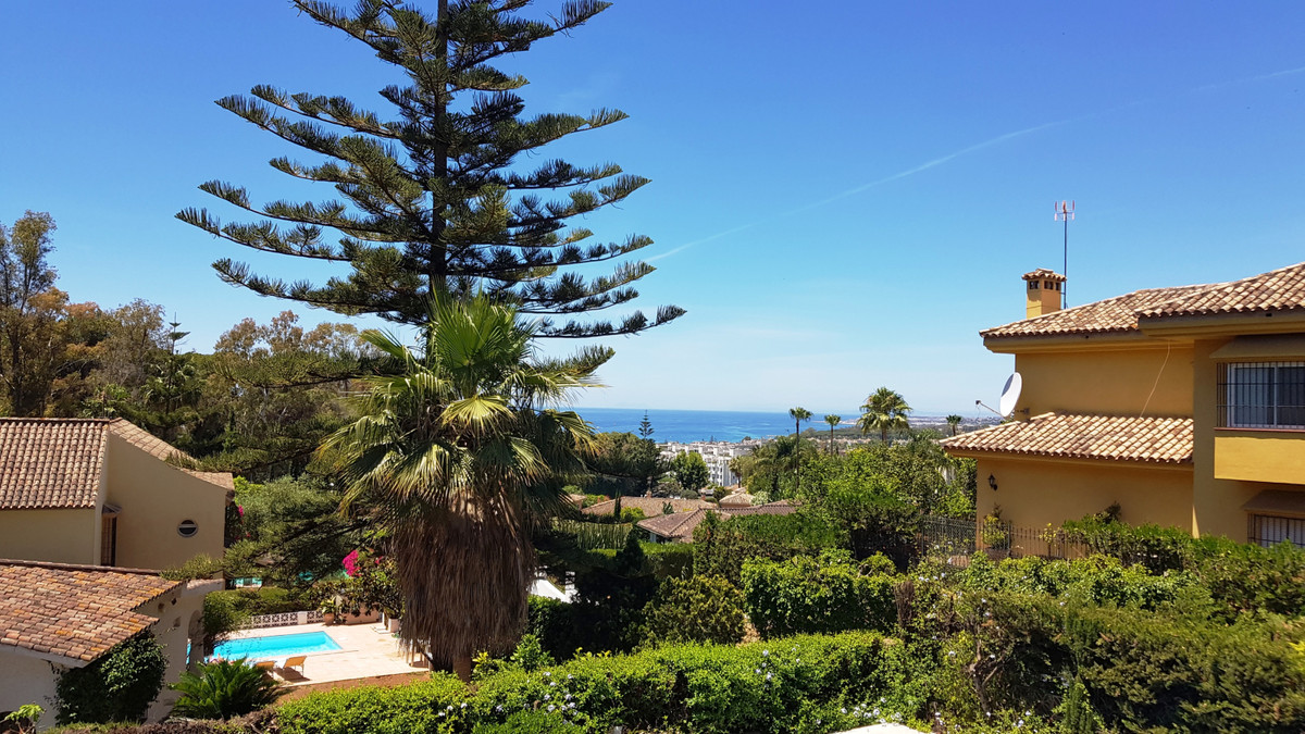 Property Image: Marbella, Costa del Sol (Detached Villa)